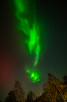 Nordlichter ueber Buxtehude