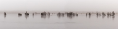 Tister Bauernmoor im Nebel, Tiste/Sittensen, 21.01.2018