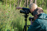 Workshop Makrofotografie im Tister Bauernmoor