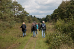 Workshop Makrofotografie im Tister Bauernmoor