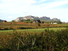 Wanderung in Vinales