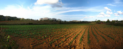 Wanderung in Vinales