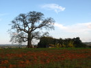 Wanderung in Vinales