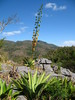 Gran Parque Natural Topes de Collantes