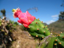 Gran Parque Natural Topes de Collantes